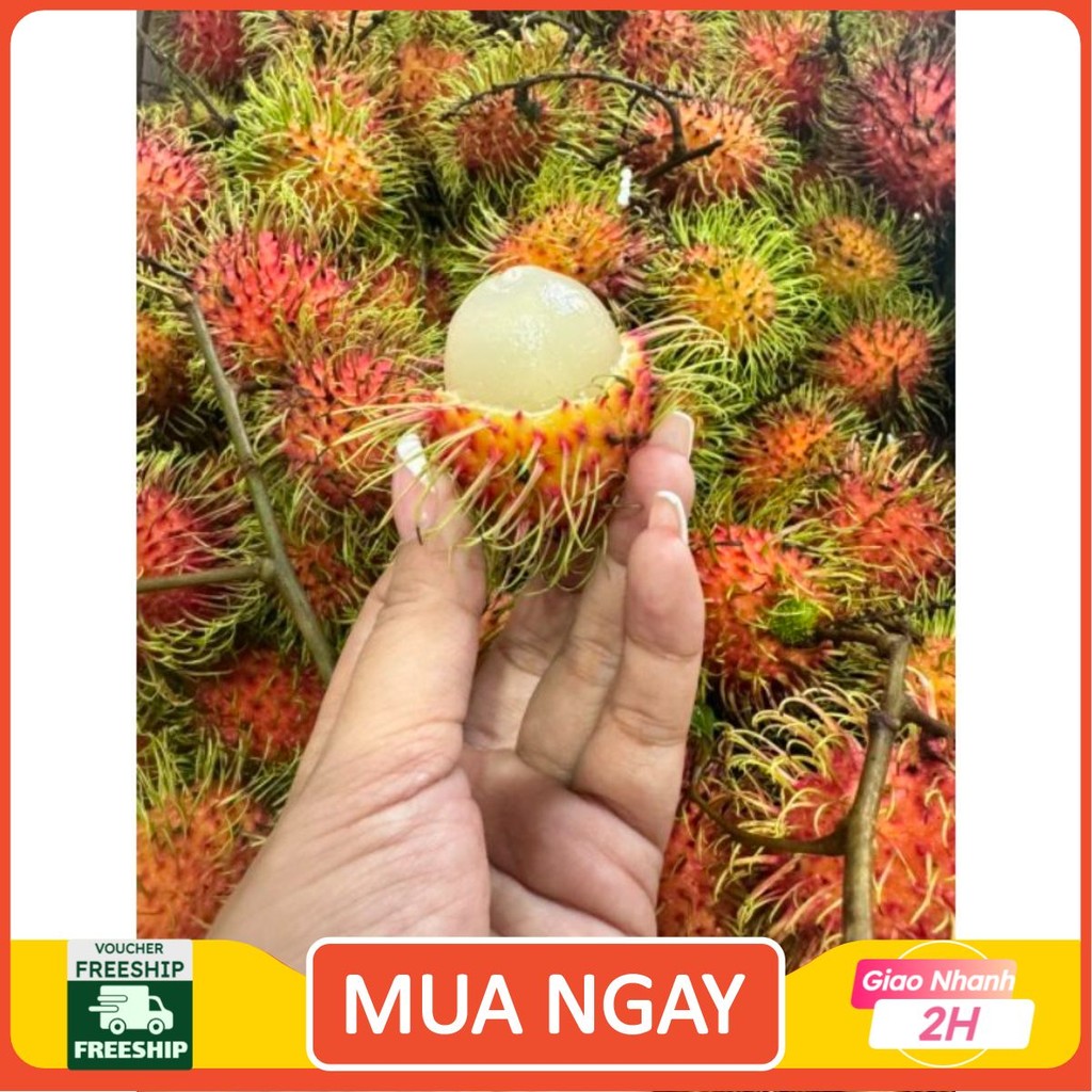 ( JENNY FRUIT ) Chôm chôm thái hàng nhập 1kg