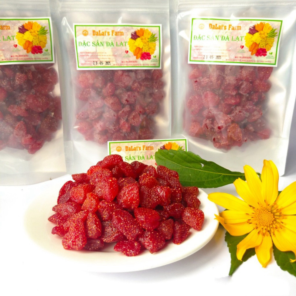 Đặc Sản Đà Lạt Dâu Tây Sấy Dẻo ĐÀ LẠT  loại 500g DALAT’S FARM Bách Hóa Online
