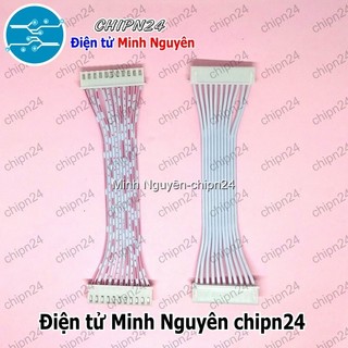 [1 sợi] (P3) Dây bẹ trắng 11P XH2.54mm 2 đầu cắm dài 10cm