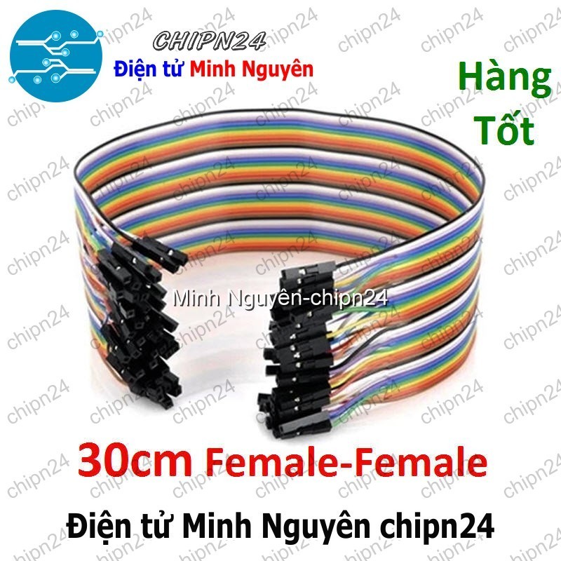 [20 sợi] (P89) Dây Cắm Test Board 30cm Cái-Cái Hàng Tốt