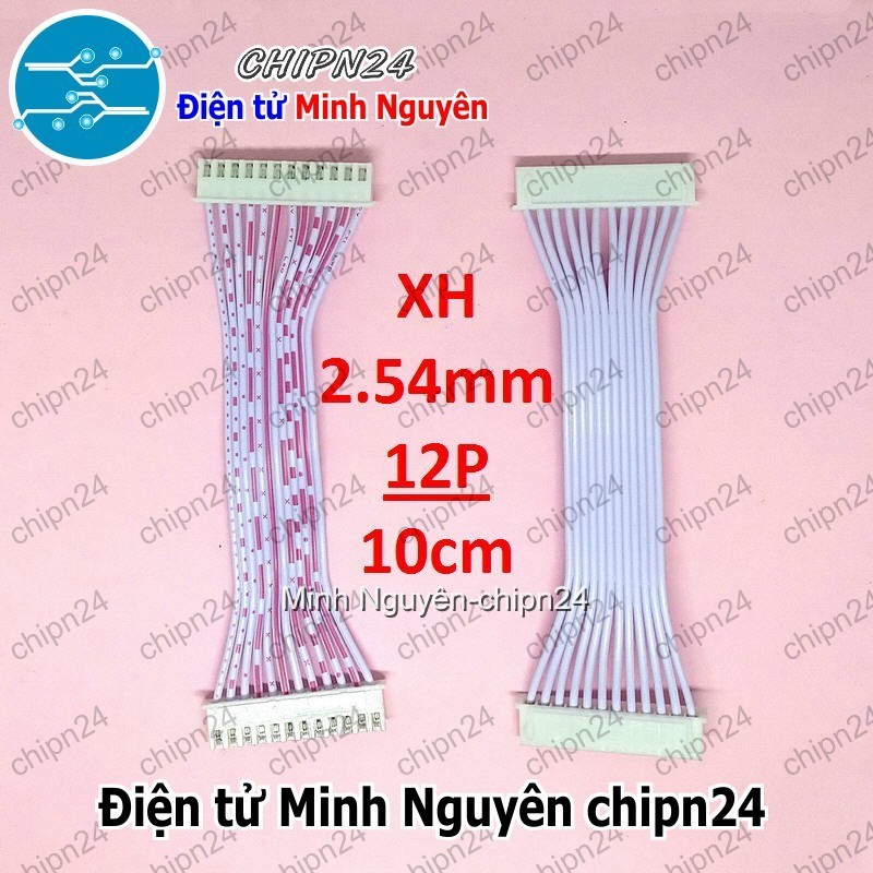 [1 sợi] (P4) Dây bẹ trắng 12P XH2.54mm 2 đầu cắm dài 10cm