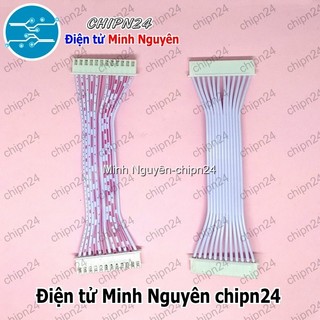 [1 sợi] (P4) Dây bẹ trắng 12P XH2.54mm 2 đầu cắm dài 10cm