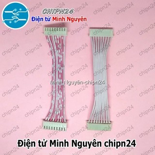 [1 sợi] (P1) Dây bẹ trắng 9P XH2.54mm 2 đầu cắm dài 10cm