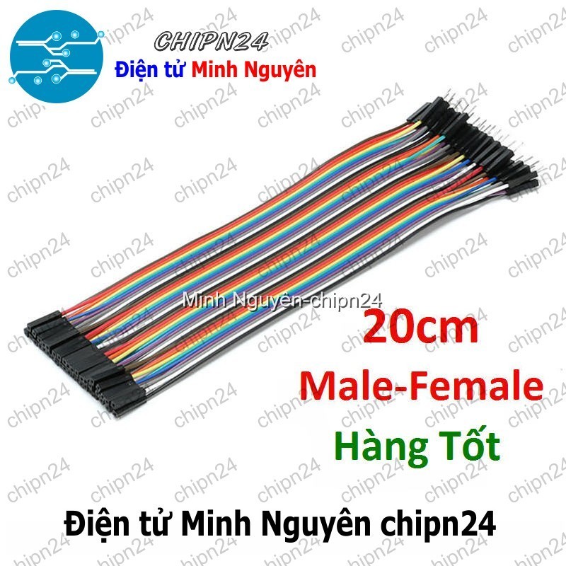 [20 sợi] (P85) Dây Cắm Test Board 20cm Đực-Cái Hàng Tốt
