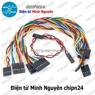 [2 sợi] (P235) Dây Dupoint 3P 20cm Cái Cái 2.54mm