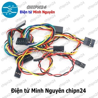 [2 sợi] (P235) Dây Dupoint 3P 20cm Cái Cái 2.54mm