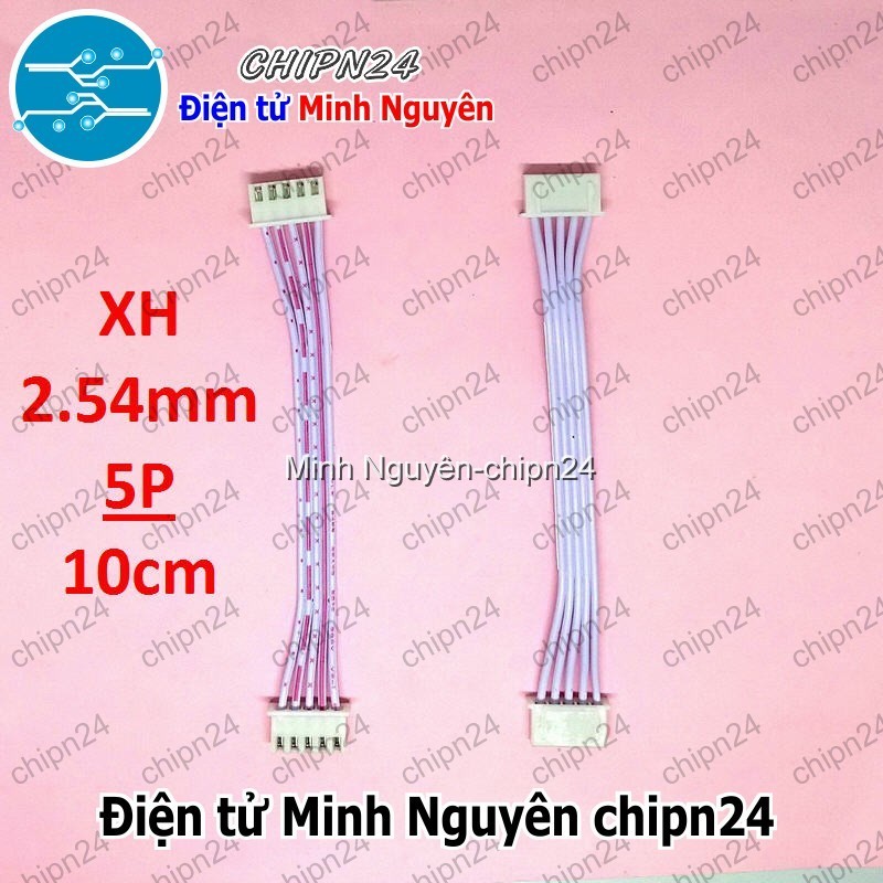 [2 sợi] (P4) Dây bẹ trắng 5P XH2.54mm 2 đầu cắm dài 10cm