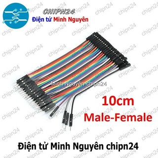 [20 sợi] (P65) Dây Cắm Test Board 10cm Đực-Cái