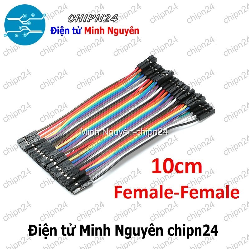 [20 sợi] (P66) Dây Cắm Test Board 10cm Cái-Cái