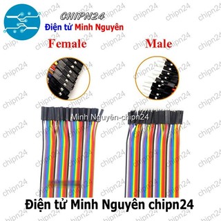 [20 sợi] (P66) Dây Cắm Test Board 10cm Cái-Cái
