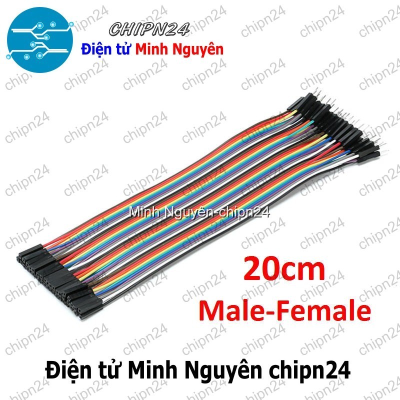 [20 sợi] (P69) Dây Cắm Test Board 20cm Đực-Cái