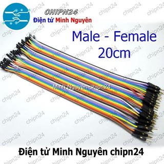 [20 sợi] (P69) Dây Cắm Test Board 20cm Đực-Cái