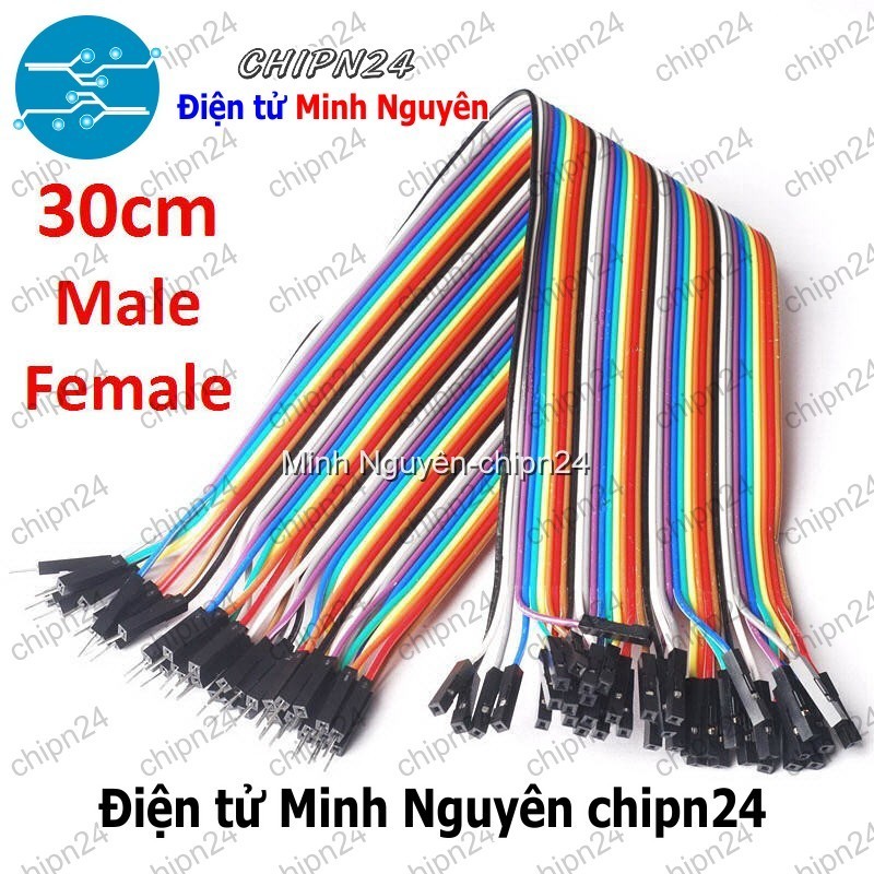 [20 sợi] (P72) Dây Cắm Test Board 30cm Đực-Cái