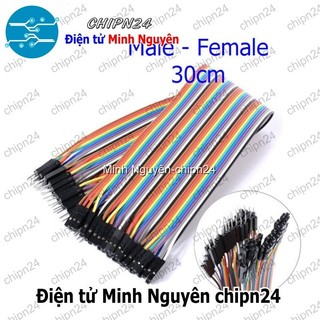 [20 sợi] (P72) Dây Cắm Test Board 30cm Đực-Cái