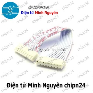 [1 sợi] (P29) Dây bẹ trắng 9P XH2.54mm 2 đầu cắm dài 30cm