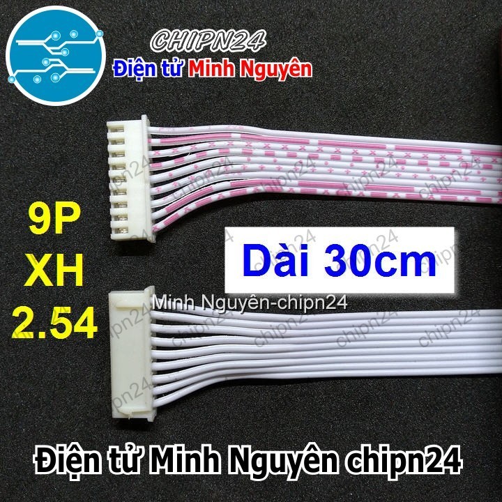 [1 sợi] (P29) Dây bẹ trắng 9P XH2.54mm 2 đầu cắm dài 30cm