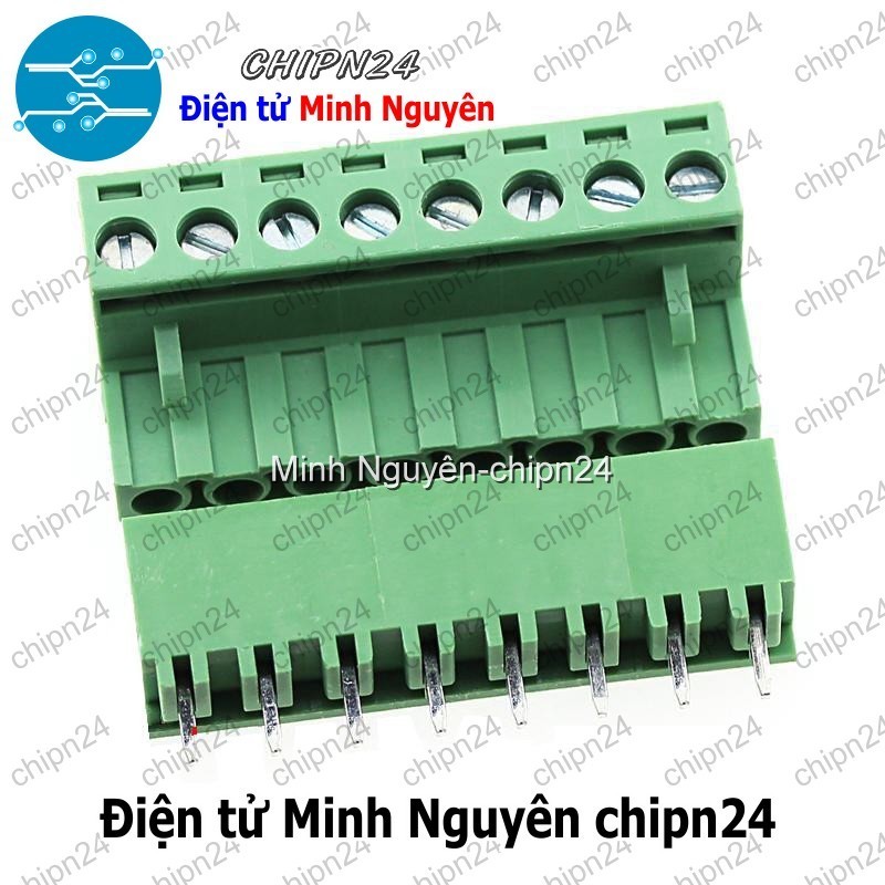 [1 Bộ] (F214) Domino 2EDG5.08 Thẳng 8P (Terminal, Cầu đấu dây cọc nguồn 5.08 5.08mm)