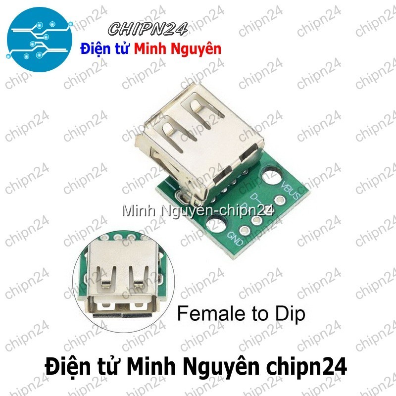 [2 cái] (K95) Đế chuyển Adapter USB A Cái to DIP (PCB chuyển, Mạch chuyển)