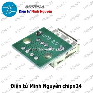 [2 cái] (K95) Đế chuyển Adapter USB A Cái to DIP (PCB chuyển, Mạch chuyển)