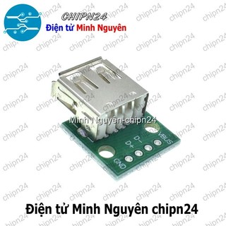 [2 cái] (K95) Đế chuyển Adapter USB A Cái to DIP (PCB chuyển, Mạch chuyển)
