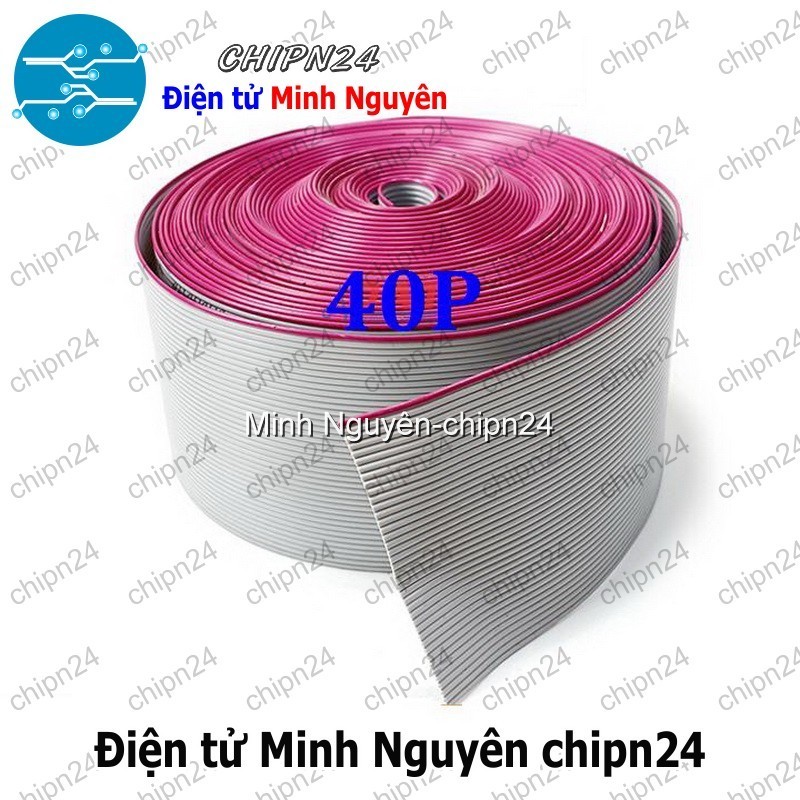 [1 mét] Dây bẹ mềm 40p (1mét)