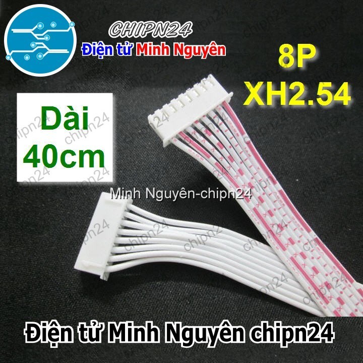 [1 sợi] (P41) Dây bẹ trắng 8P XH2.54mm 2 đầu cắm dài 40cm