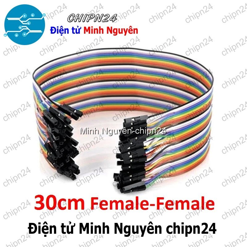 [20 sợi] (P73) Dây Cắm Test Board 30cm Cái-Cái