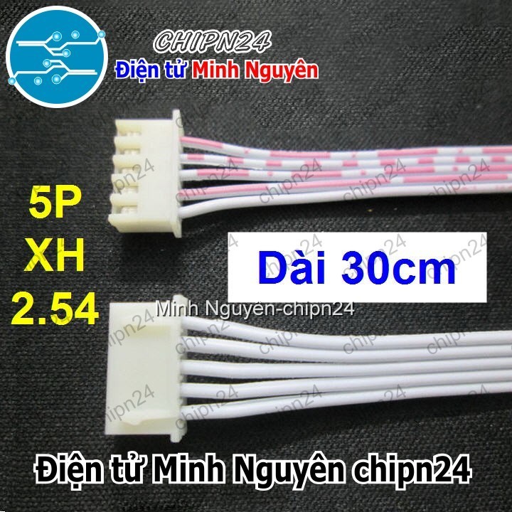[2 sợi] (P25) Dây bẹ trắng 5P XH2.54mm 2 đầu cắm dài 30cm
