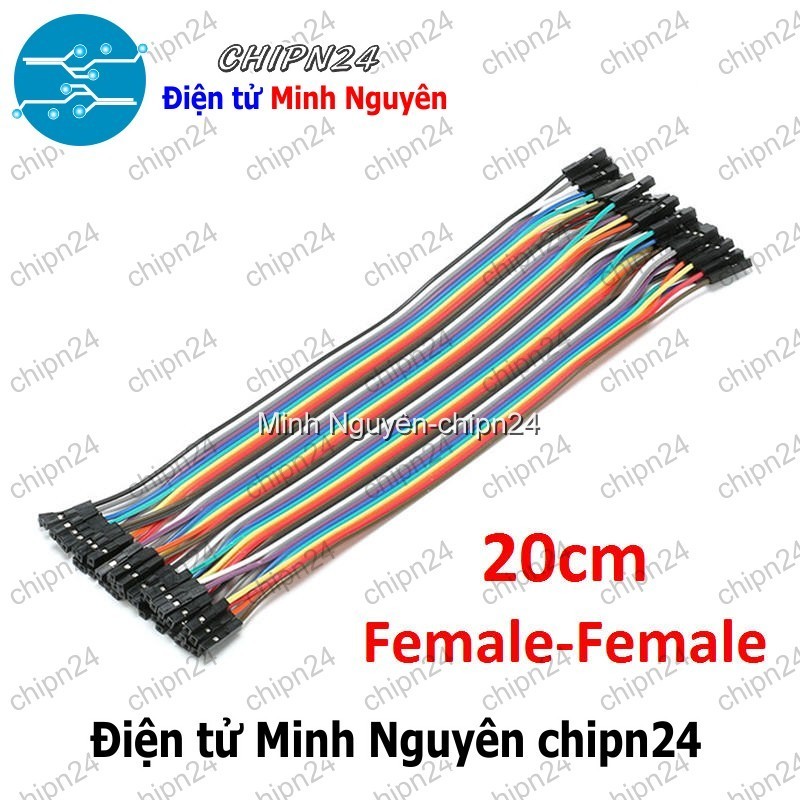 [20 sợi] (P70) Dây Cắm Test Board 20cm Cái-Cái