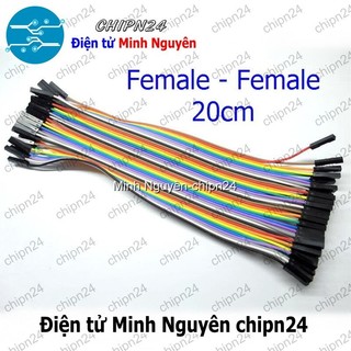 [20 sợi] (P70) Dây Cắm Test Board 20cm Cái-Cái