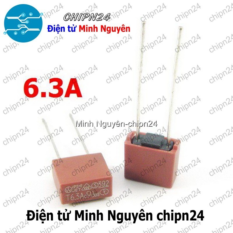 [2 cái] (K447) Cầu Chì Vuông 6.3A 250V (T6.3A250V)