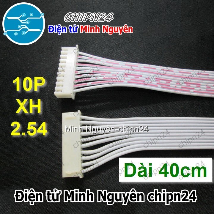 [1 sợi] (P43) Dây bẹ trắng 10P XH2.54mm 2 đầu cắm dài 40cm