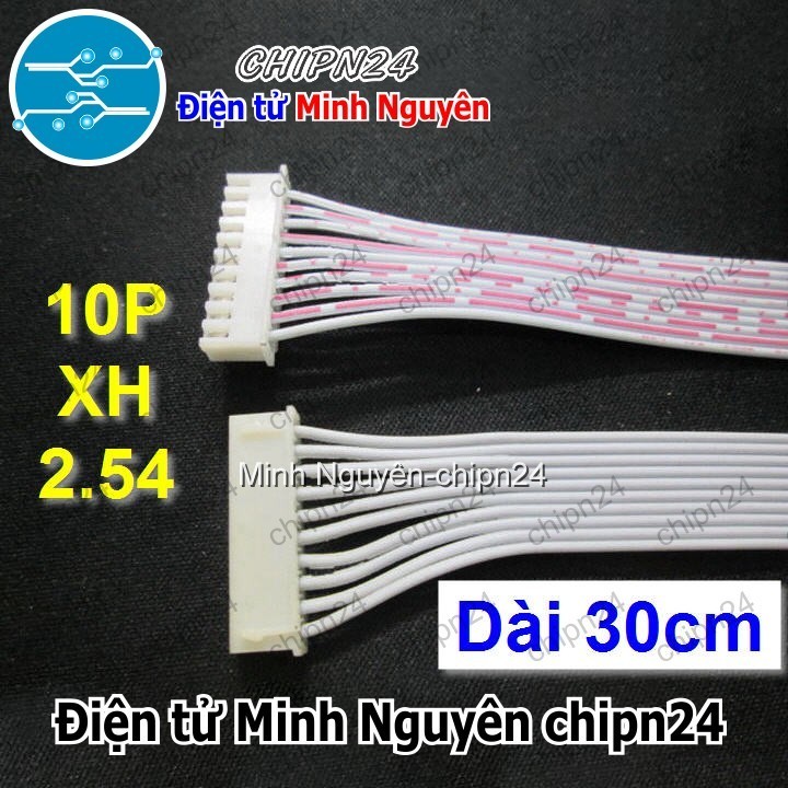 [1 sợi] (P30) Dây bẹ trắng 10P XH2.54mm 2 đầu cắm dài 30cm