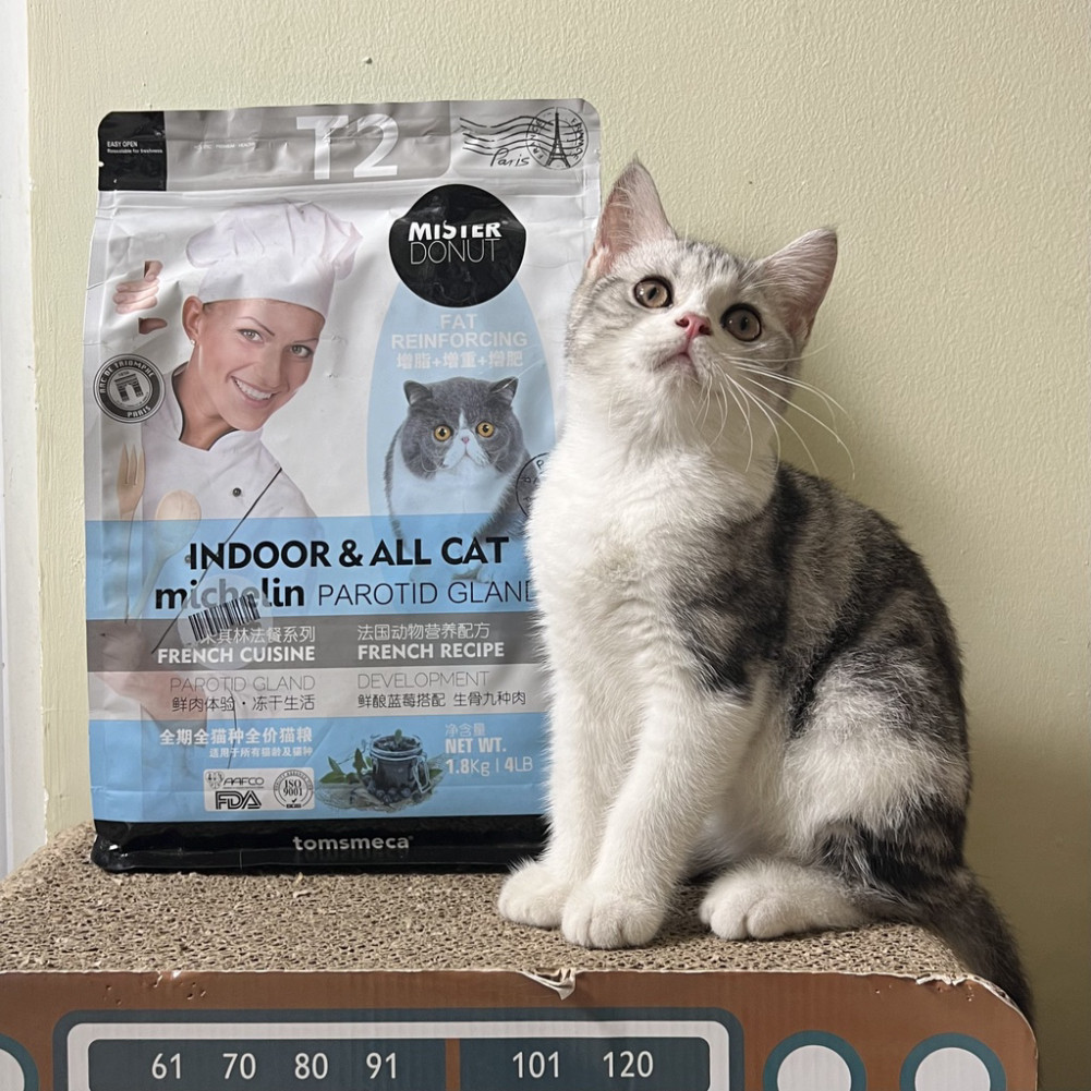 Hạt MISTER DONUT T1 và T2 cho mèo siêu nhiều topping túi 1kg & 1.8kg - appetshop