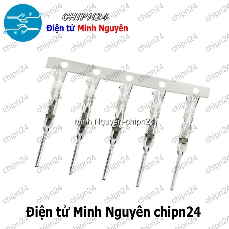 [25 cái] (I2) Lõi Header SM Dupont Đực 2.54mm (Dùng bấm đầu dây điện cho Dây cắm Testboard)