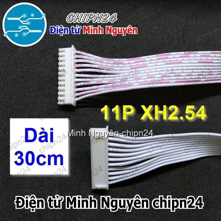 [1 sợi] (P31) Dây bẹ trắng 11P XH2.54mm 2 đầu cắm dài 30cm