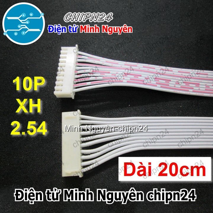 [1 sợi] (P17) Dây bẹ trắng 10P XH2.54mm 2 đầu cắm dài 20cm