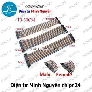 [20 sợi] (P71) Dây Cắm Test Board 30cm Đực-Đực