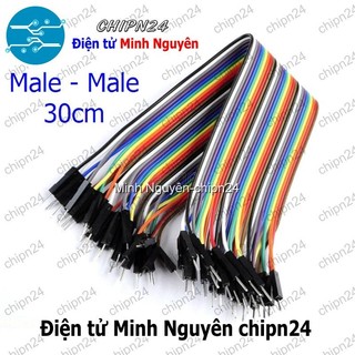 [20 sợi] (P71) Dây Cắm Test Board 30cm Đực-Đực
