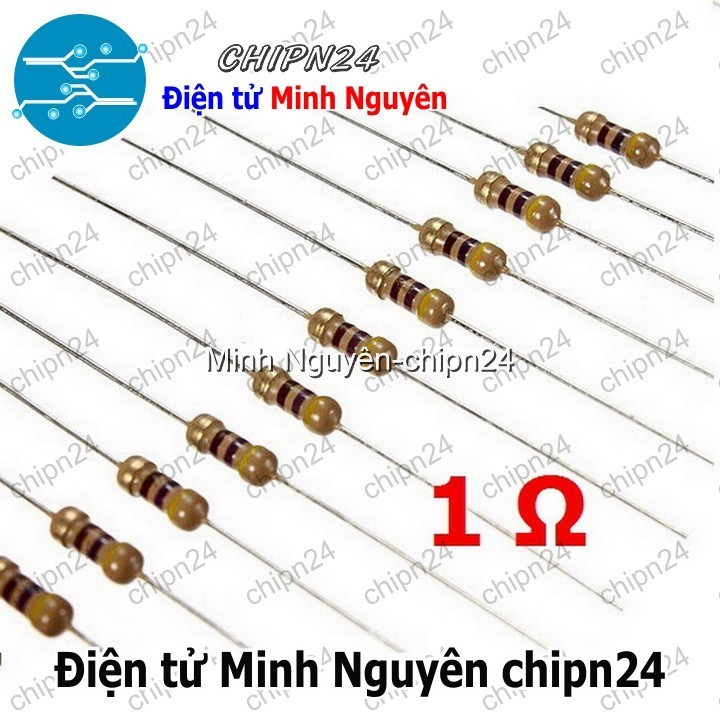 [20 con] Điện Trở 1R 1/4W 5%