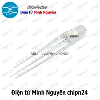 [25 con] (TK9-10) Led 2 màu 3 chân 5MM Đục (Đỏ/Vàng/Xanh Lá/Dương, Âm chung/Dương chung) - [Chọn Loại]