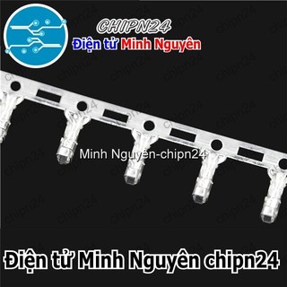 (F299-300) Header XH2.54 Cái (2P/3P/4P/5P/6P/7P/8P/9P/10P) - [Chọn Loại]