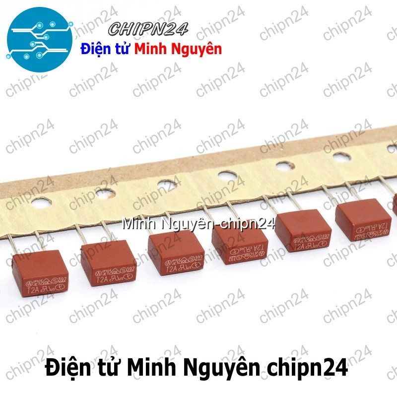[2 cái] (K445) Cầu Chì Vuông 392 (T1A 2A 3.15A 4A 5A 6.3A 10A) 250V - [Chọn Loại]