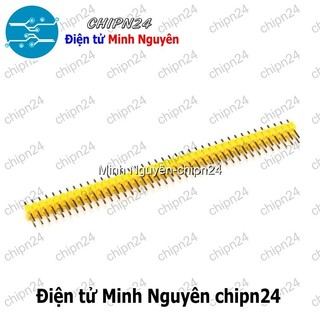 [2 cây] (H55) Header Hàng rào Đực Đôi Thẳng 2.54MM 2x40p (Đen/Đỏ/Vàng/Xanh Lá/Dương/Trắng) - [Chọn Loại]
