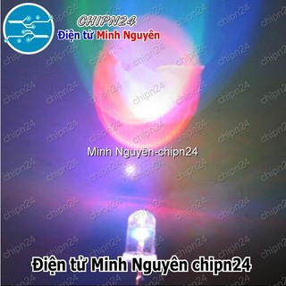 [25 con] Led 7 Màu RGB 2 chân (5mm/3mm/5 ly/3 ly/ Nháy Nhanh/Chậm) - [Chọn Loại]