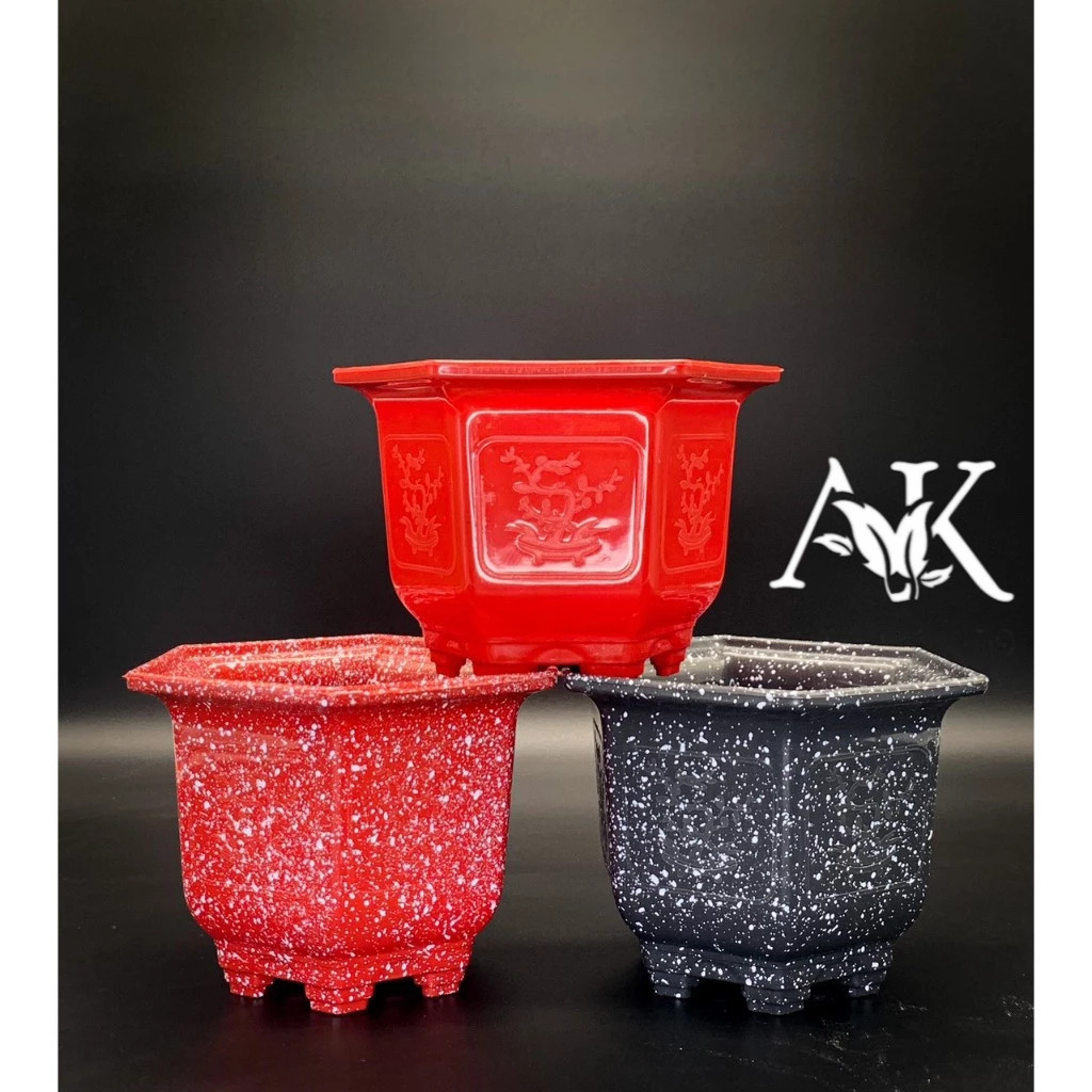 Chậu Trồng Cây Mai Đá Đỏ kích thước chậu 15x12 cm