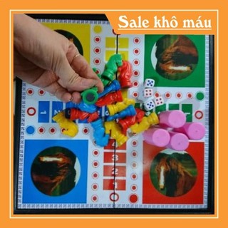 Trò chơi cờ vua ,cá ngựa ( nam châm), bộ cờ cá ngựa nam châm