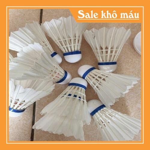 CẦU LÔNG HOÀNG ĐẾ