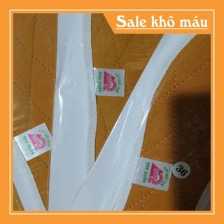 Lót giầy  (size 36_43)