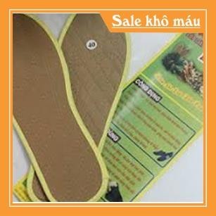 Lót giầy  (size 36_43)
